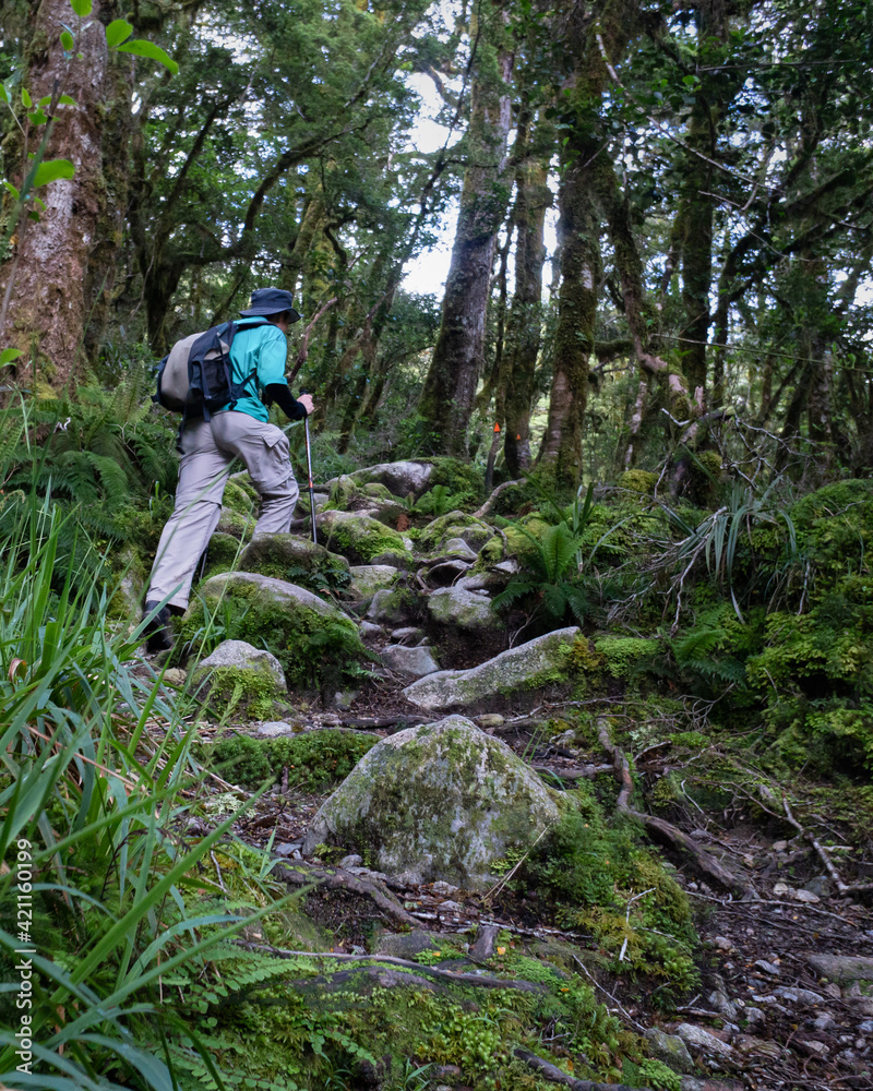 Fototapeta premium Hiking in the lush green forest of Lake Marina track in Fiordland National Park. Vertical format