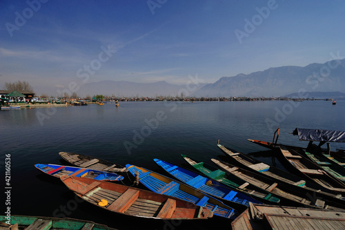 Fototapeta Naklejka Na Ścianę i Meble -  Shiraka boats at the lakeside of Dal Lake in Srinagar, summer capital of Indian Kashmir.