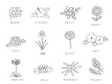 夏の花の線画　アイコンセット　モノクロ