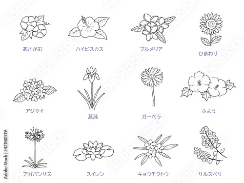 夏の花の線画　アイコンセット　モノクロ