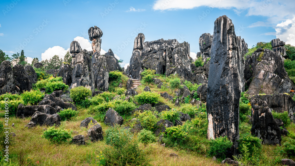 Shilin minor stone forest view with green nature and blue sky in Yunnan China