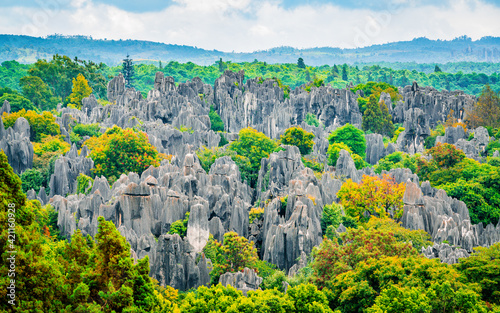 Panoramic landscape view of Shilin major stone forest with bright autumn colours Kunming Yunnan China photo