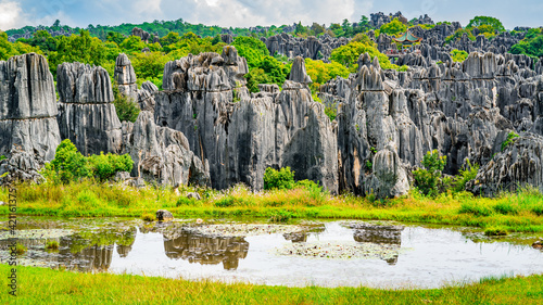 Photography Panorama of Shilin major stone forest with bright fall colors and pond with wate