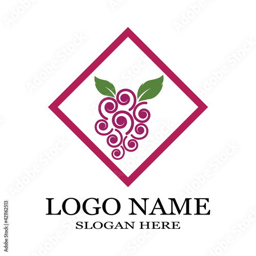 Grapes logo template vector icon illustration design