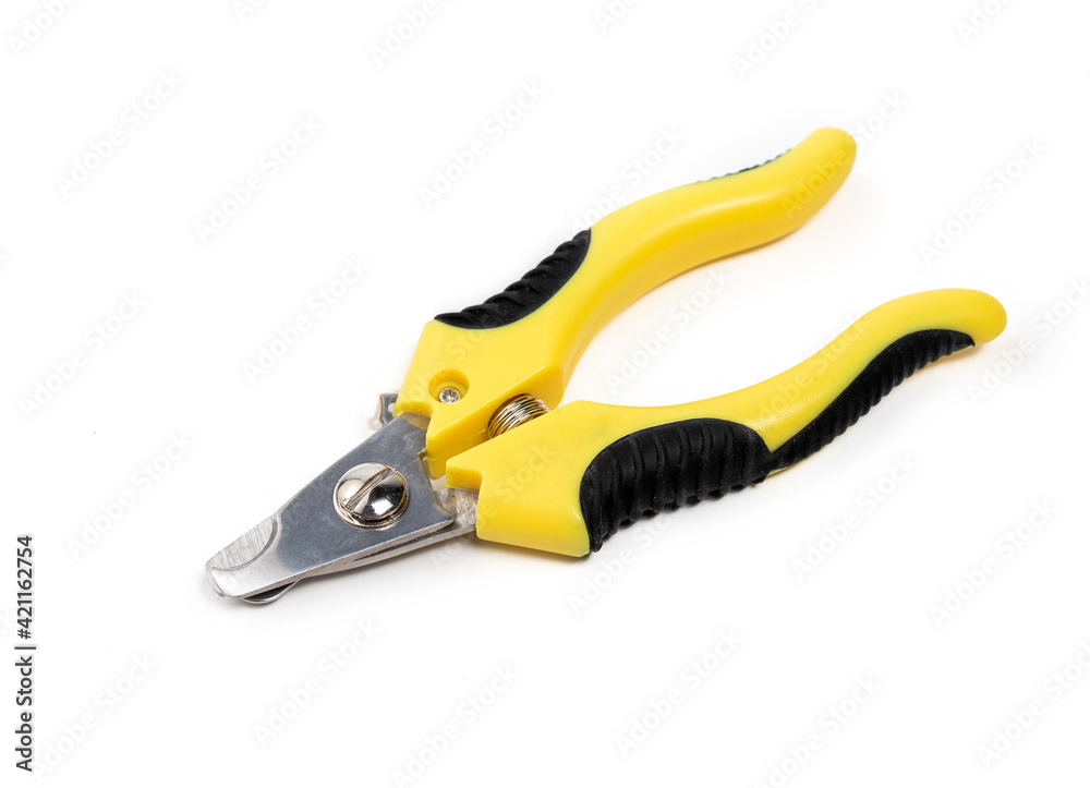Dog nail trimmer, closed. Yellow black scissor style clipper with two stainless steel blades. Used by groomers and pet owners to keep dog claws short and healthy. Isolated on white. Selective focus. Dog nail trimmer, closed. Yellow black scissor style clipper with two stainless steel blades. Used by groomers and pet owners to keep dog claws short and healthy. Isolated on white. Selective focus.