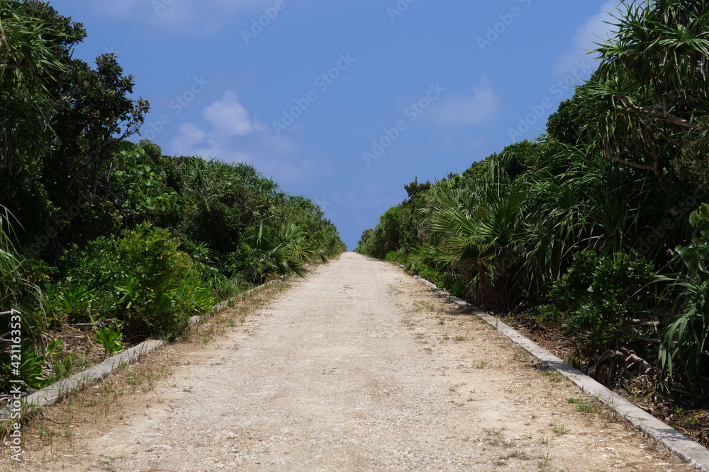 The road that cannot see the future The road that cannot see the future