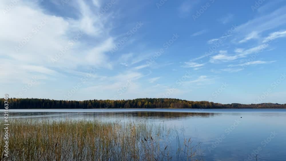 Water at lake or river in forest at autumn nature. High quality FullHD footage Water at lake or river in forest at autumn nature. High quality FullHD footage