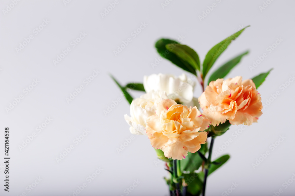 Orange and white carnations in glass vase on white background. Selective focus. Orange and white carnations in glass vase on white background. Selective focus.