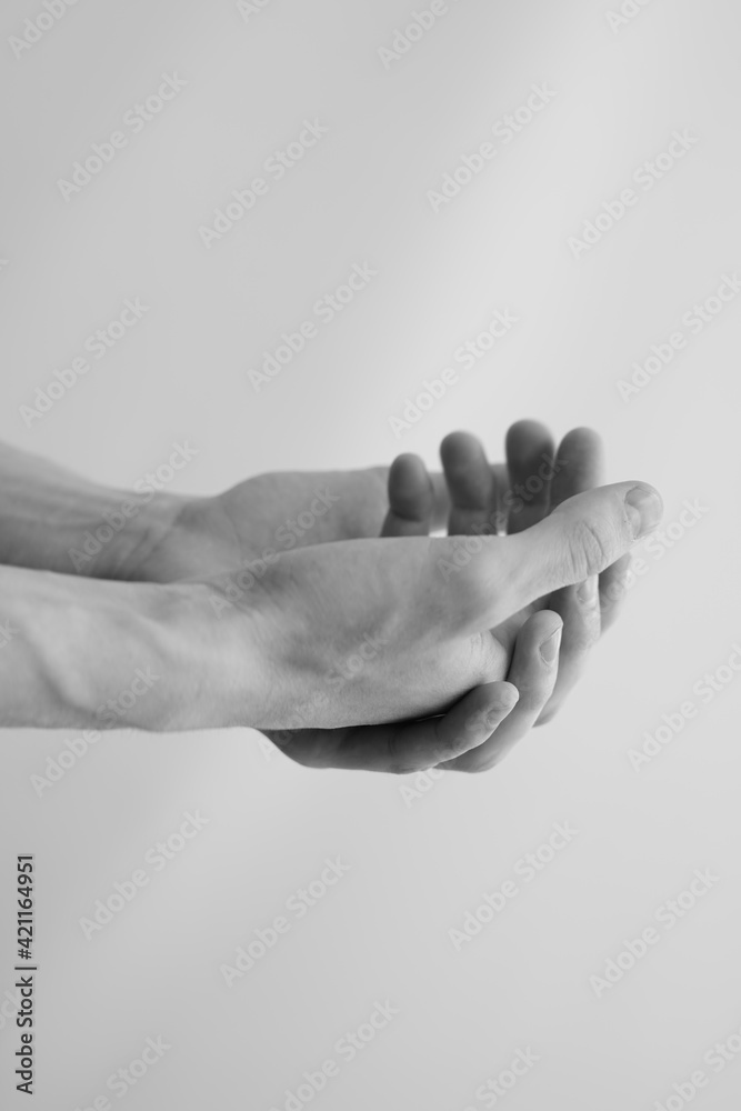 Obraz premium Palms