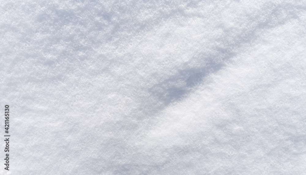 Fototapeta premium Fresh snow