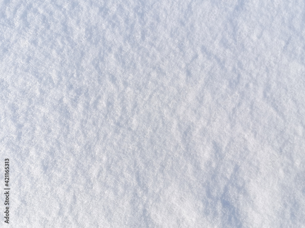 Obraz premium Fresh snow