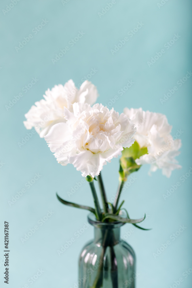 White carnations in glass vase on light green backgrounds. Floral background.