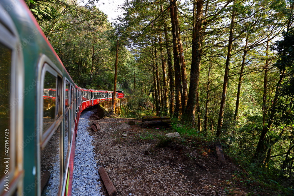 Forest train on railway in Alishan National Forest Recreation Area, situated in Alishan Township, Chiayi , TAIWAN
