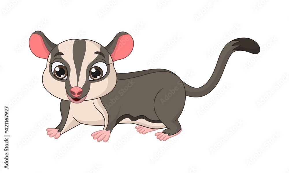 Fototapeta premium Cartoon sugar glider on white background