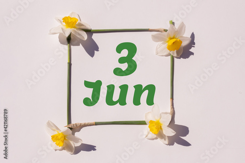 June 3 rd. Day 3 of the month, calendar date. Frame from flowers of a narcissus on a light background, pattern. View from above. Summer month, day of the year concept