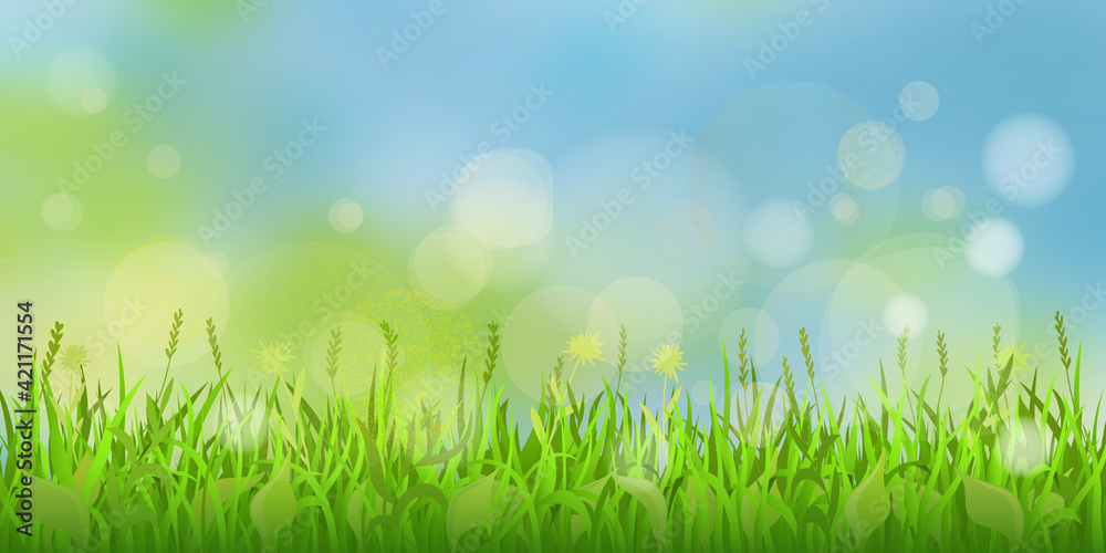Vector spring background, grass and blurry sky. Bokeh effect.