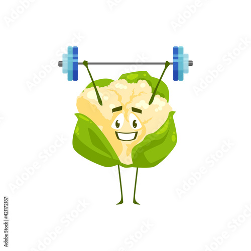 Cartoon cauliflower vegetable workout with barbell. Vector funny plant sportsman character sport exercises isolated on white background. Healthy food, sports lifestyle, organic nutrition