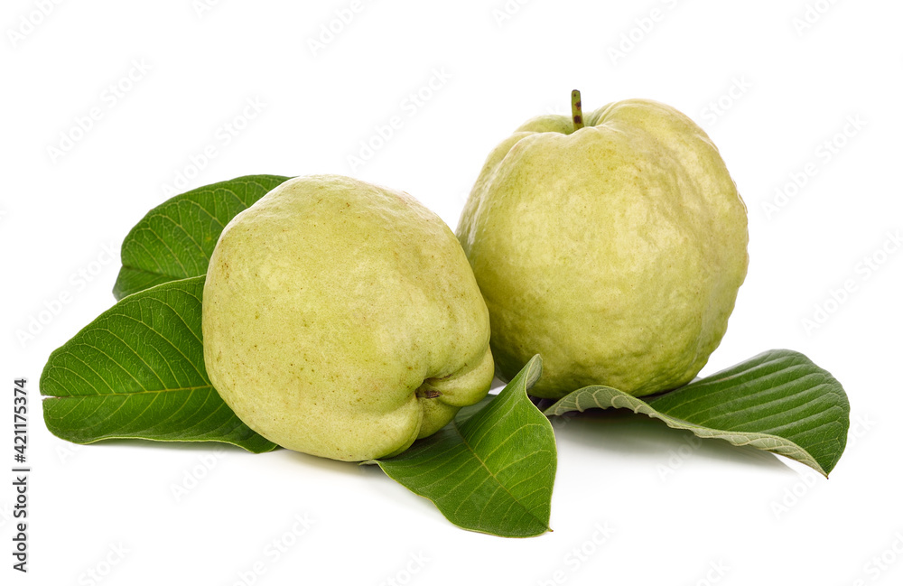 The Fresh green Guava fruit on white background