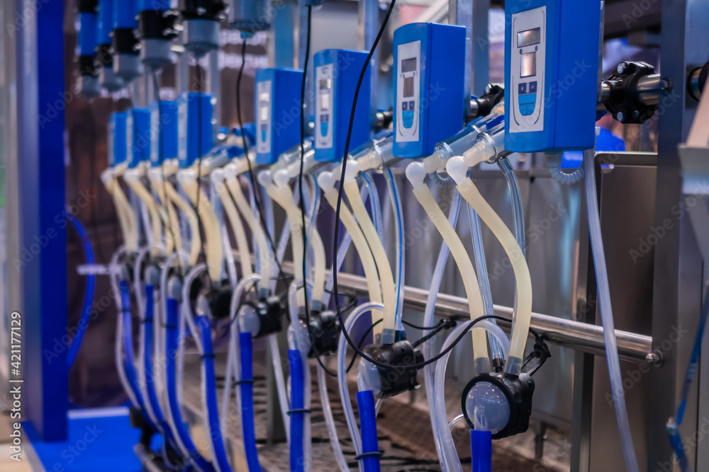 Automated goat milking suction machine with teat cups at cattle dairy farm, exhibition, trade show. Farming, automated technology equipment, agriculture industry, animal husbandry concept