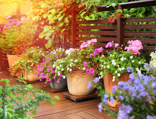 Fototapeta Naklejka Na Ścianę i Meble -  Flower pots on warm sunny wooden terrace