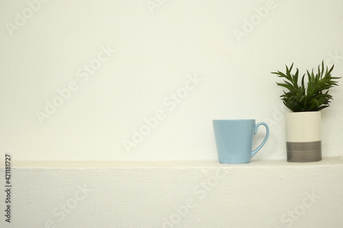 plant in a vase and blue glass put on white wall background