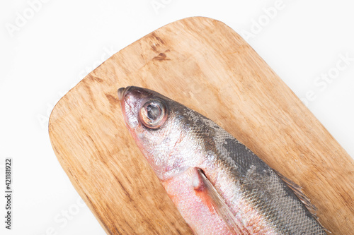 Red-eyed sea fish on a wooden kitchen board on a white background, isolate. Close-up, macro photo