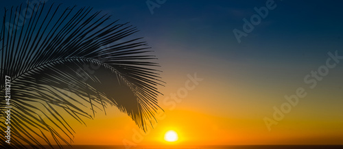 palme sur soleil couchant  © Unclesam