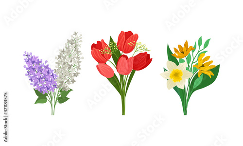 Bunch of Spring Flowers with Fragrant Blossom on Green Stem Vector Set