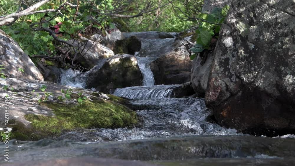 Water cascades down mossy rocks. Small waterfall on mountain stream. Gray stones covered with lichen and plants. Streams of water splash on cliffs Water cascades down mossy rocks. Small waterfall on mountain stream. Gray stones covered with lichen and plants. Streams of water splash on cliffs