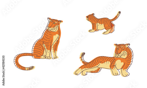 Striped Tiger with Orange-brown Fur as Wild Cat Specie in Different Poses Vector Set