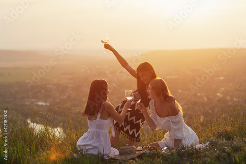 Beautiful young girls girlfriends on a picnic on a summer sunny day drinking wine and enjoy perfect time together.