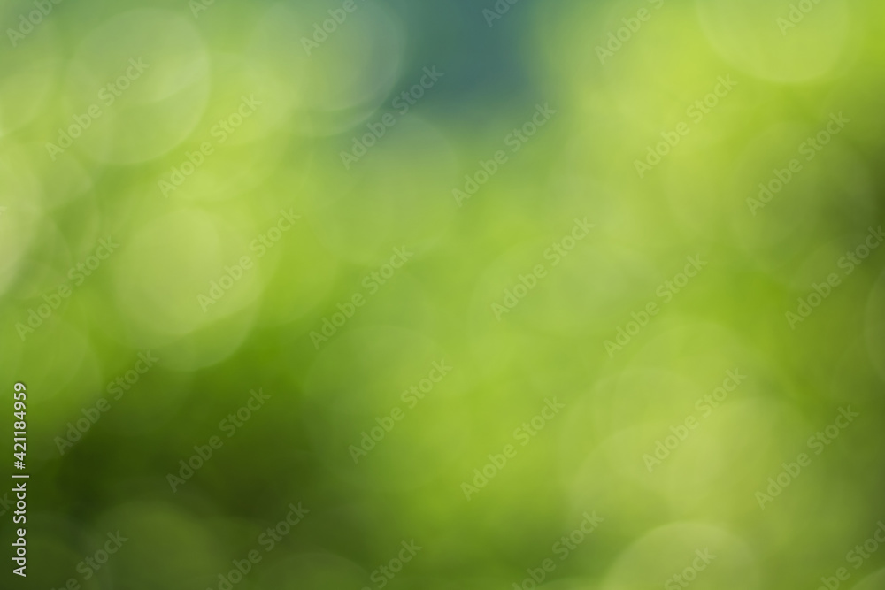 Natural outdoors bokeh background in green and yellow tones, Blurred green tree leaf background with bokeh Natural outdoors bokeh background in green and yellow tones, Blurred green tree leaf background with bokeh