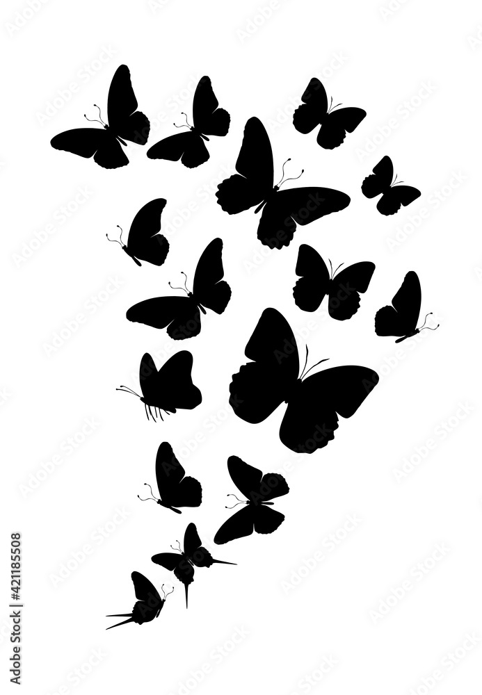 Fototapeta premium Flock of silhouette black butterflies on white background