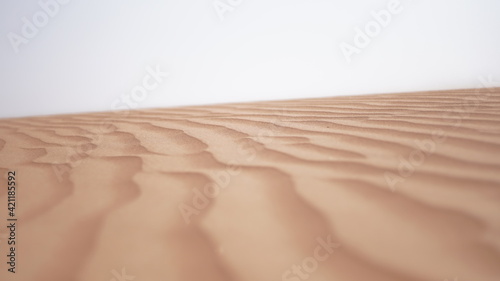 Fototapeta Naklejka Na Ścianę i Meble -  Sand Lines in the Desert