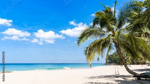 Sunny day of summer concept which the tropical beach banner with coco palm tree as swing for relax lifestyle of white sand  background  Travel summer concept