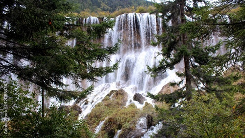 Forest Waterfall