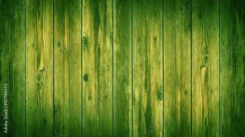 Abstract grunge old dark green painted wooden texture - wood background © Corri Seizinger