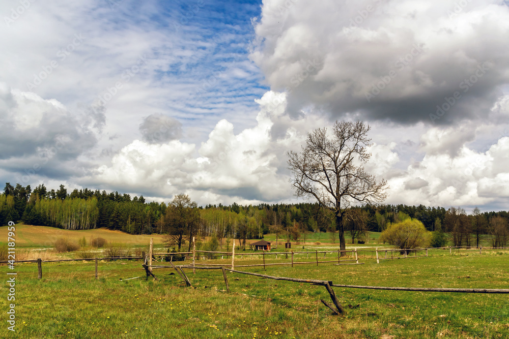 Wiosna na Wzgórzach Sokólskich, Podlasie, Polska Wiosna na Wzgórzach Sokólskich, Podlasie, Polska