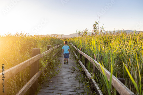 Back view of little boy walking down a path