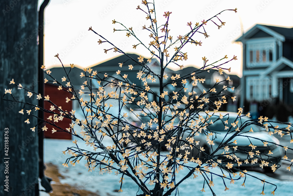 custom made wallpaper toronto digitaltree in the winter