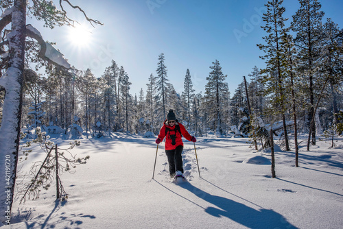 Woman snowshoeing in winter forest in Lapland Finland