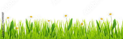 seamless floral grass panorama background