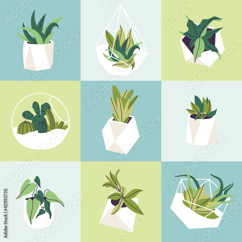 Vector illustration set of glass florariums and concrete pots with plants. Various of succulents, cactuses and tropical leaves. Seamless pattern.