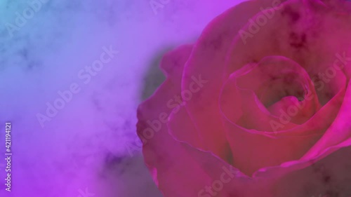 Close up of red rose on corner in dim light and fog that slowly fade out shown in heart shape. 