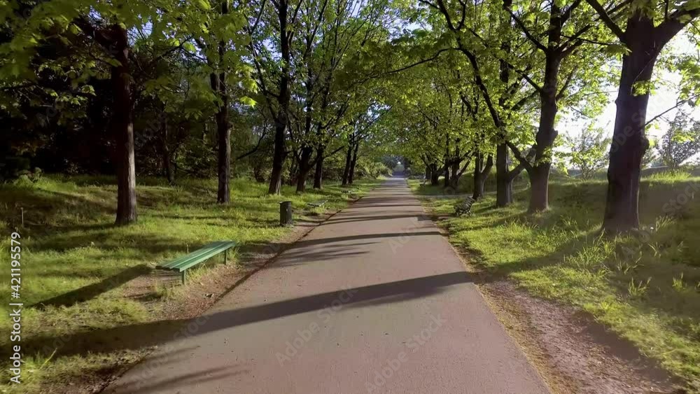 Riding in the forest path in the early spring. POV via action camera. Riding in the forest path in the early spring. POV via action camera.