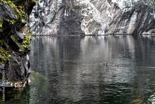 Wild ducks in mountain lake. Mountain lake landscape.