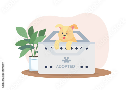 Dog in box for adoption from shelter 2D vector web banner, poster. Golden terrier puppy flat character on cartoon background. Homeless animals rescue printable patch, colorful web element