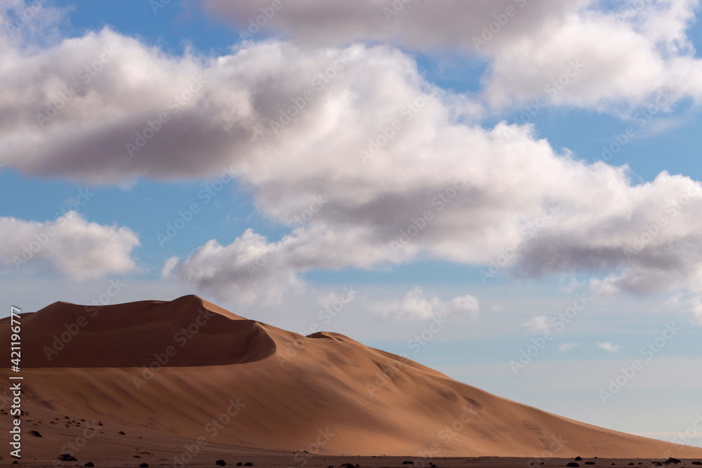 Golden sand dune 7 and white clouds on a sunny day in the Namib desert. Fantastic place for travelers and photographers