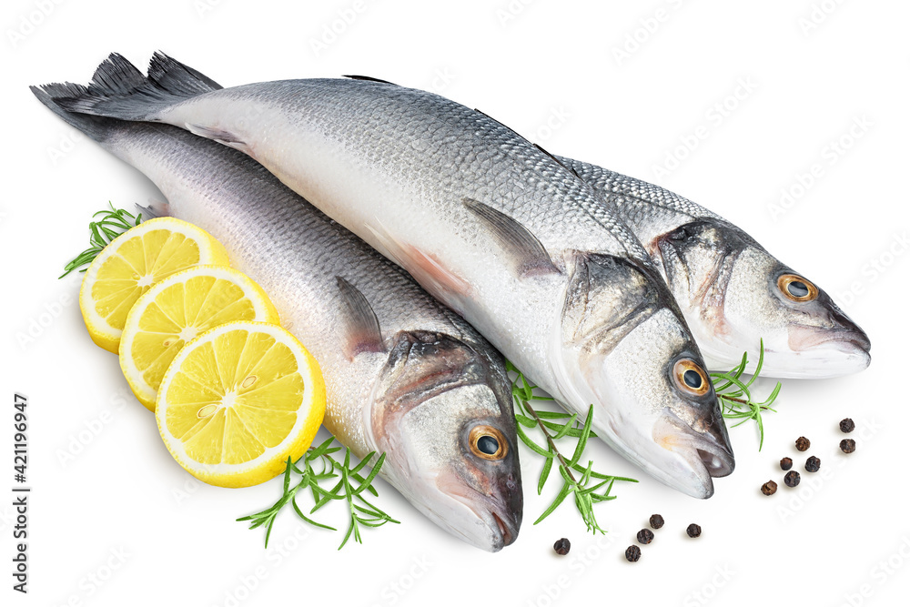 Sea bass fich isolated on white background with clipping path and full depth of field. Sea bass fich isolated on white background with clipping path and full depth of field.