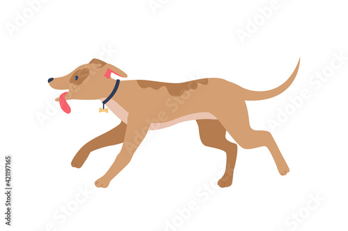 Running happy houd in collar flat color vector detailed character. Animal training  activity and exercise. Pet care isolated cartoon illustration for web graphic design and animation